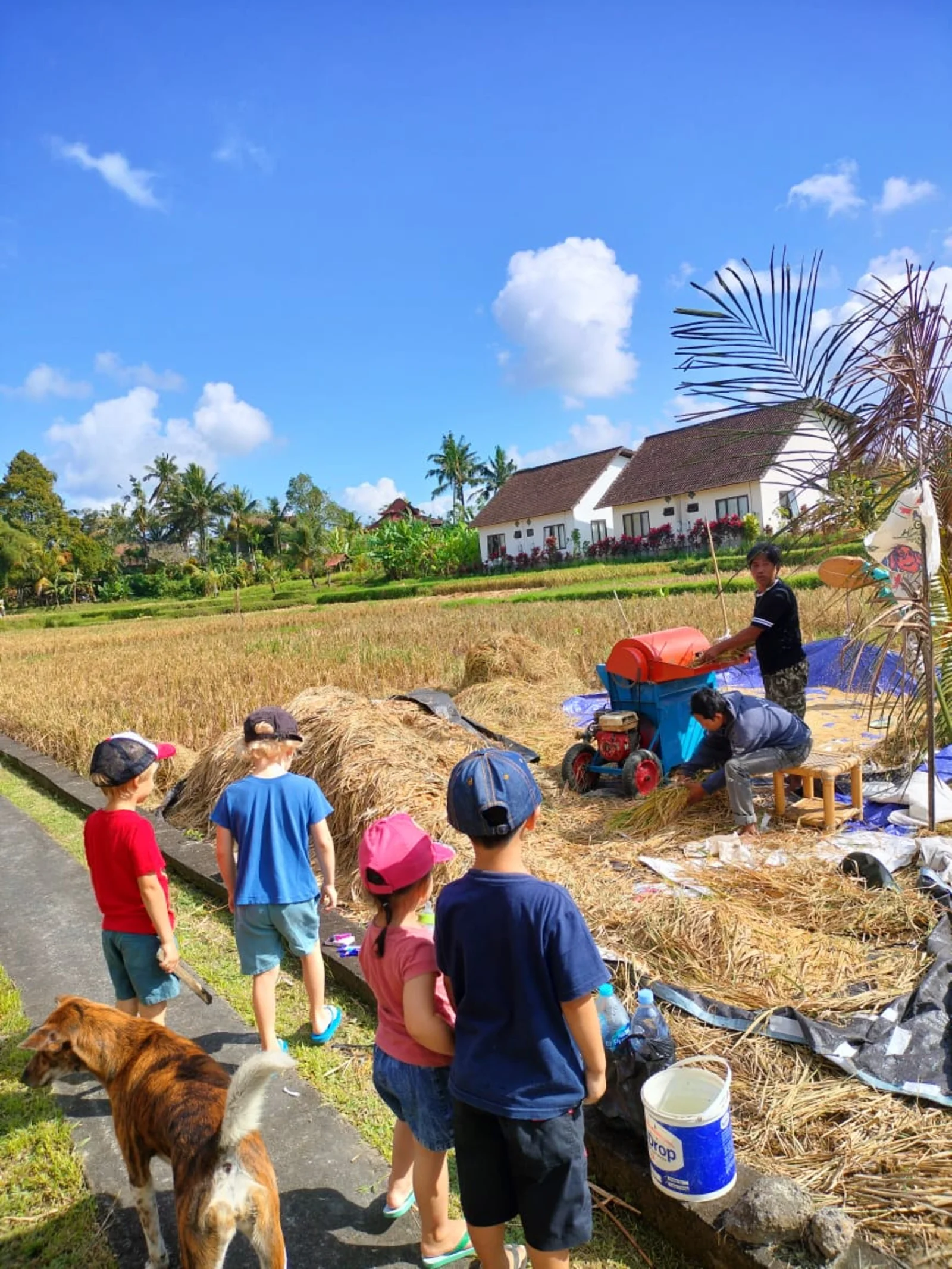 Sunny Kids Moment 14